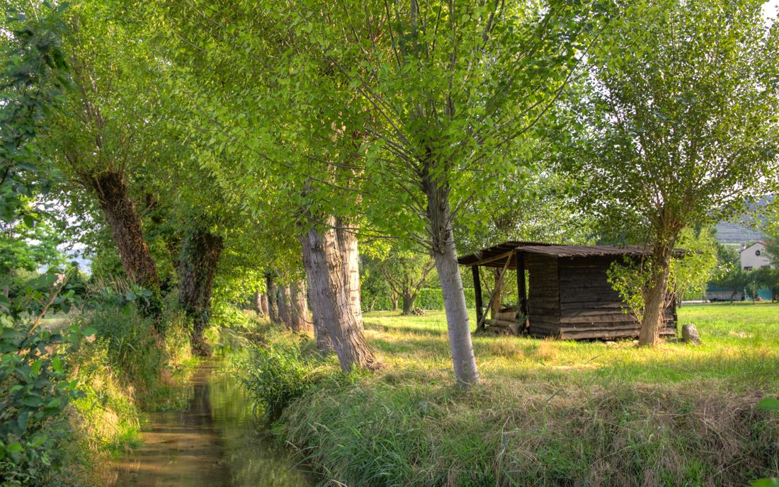 Zona verde nella nostra Azienda Agricola